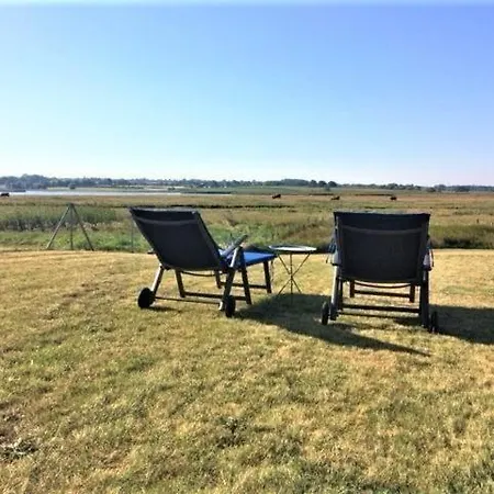 Wasserlaeufer Hohwacht