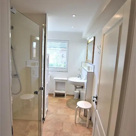 Wasserlaeufer Hohwacht